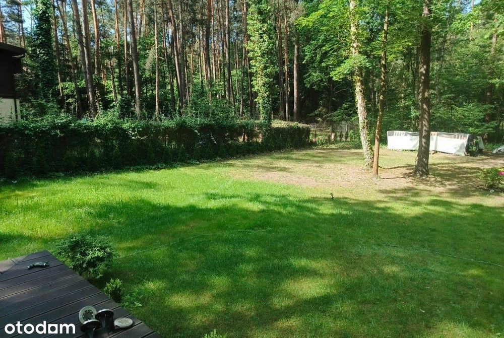 Zdjęcie 6