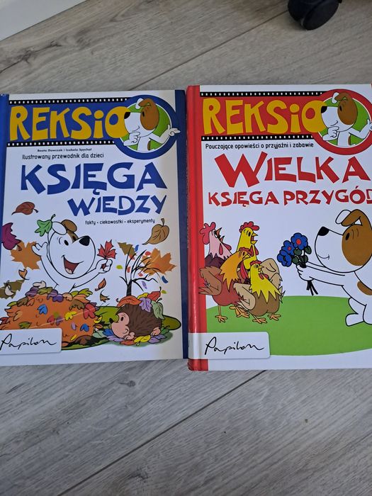 Reksio wielka ksiazka przygod
