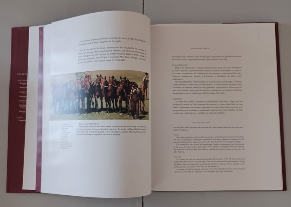 Escola Portuguesa de Arte Equestre, de Filipe Graciosa