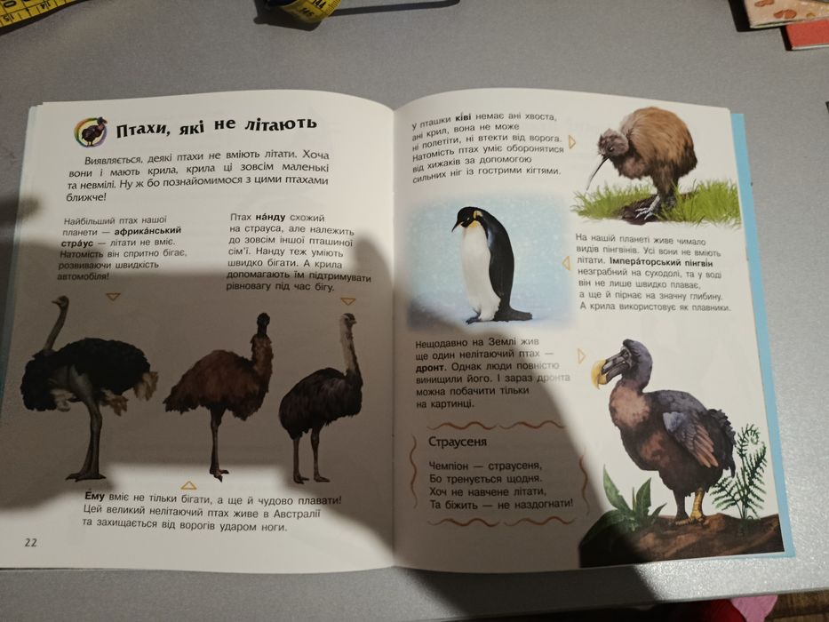 Книга Птахи Енциклопедія дошкільника