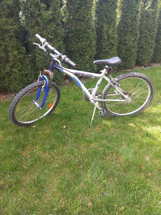 Rower górski  24''