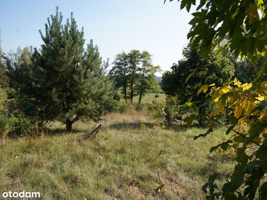Wyjątkowa działka widokowa 2800 m²|Dolina Radomki|PuszczaKozienicka|WZ - Widok 3
