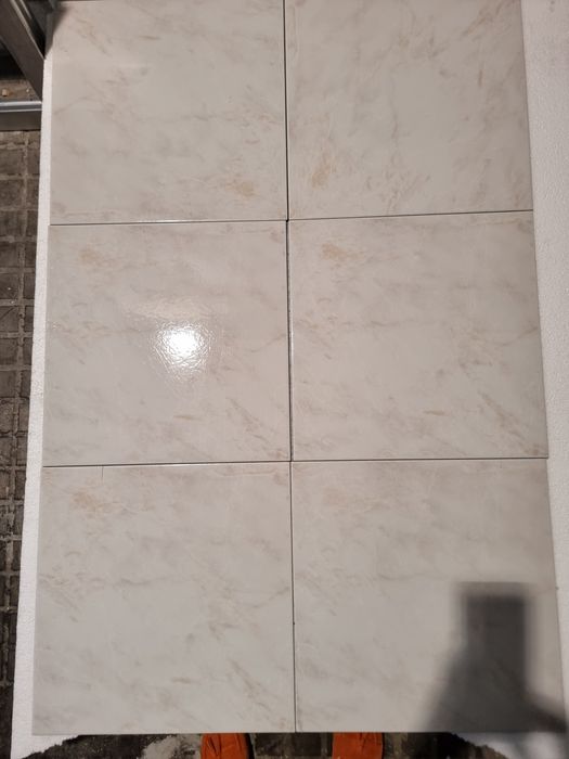 Azulejos revigres