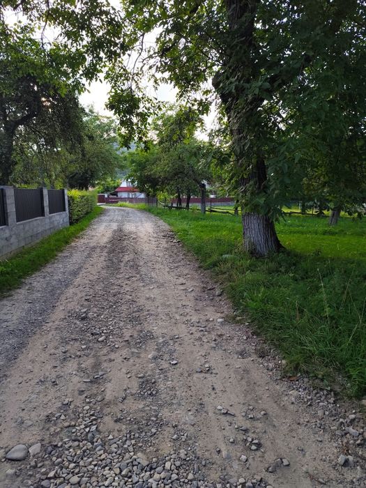 Продаж будинку та земельної ділянки 11,4 сот в Карпатах с. Пістинь