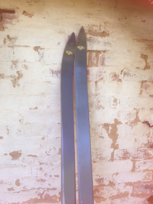 Лижі    для   дорослих