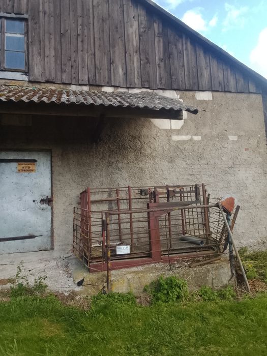 Waga do bydla lub świń 1450kg