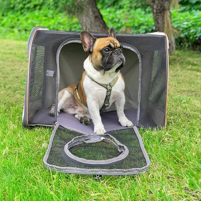 Автокрісло для собак COLLAR