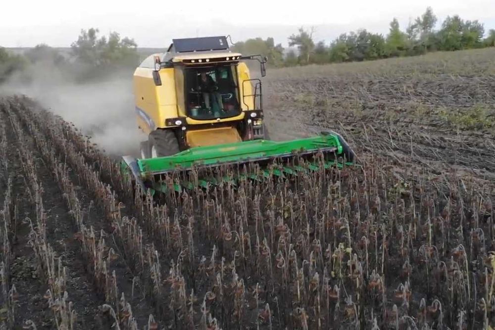 Соняшникова жниварка СХ-6 жатка Велесагро
