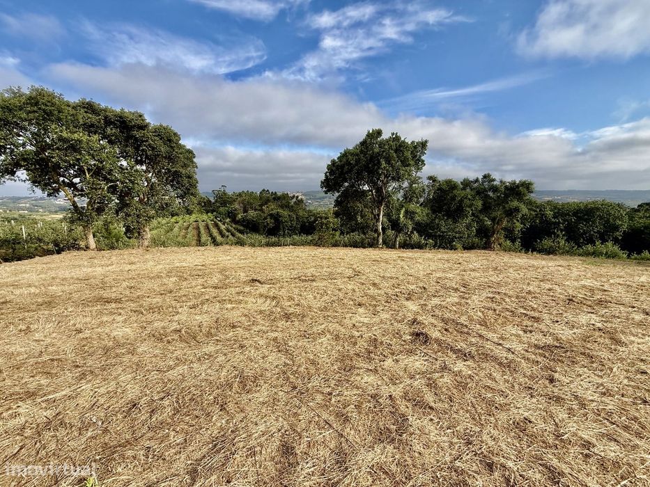 Plot of land with panoramic countryside views – 15 minutes from São Martinho do Porto