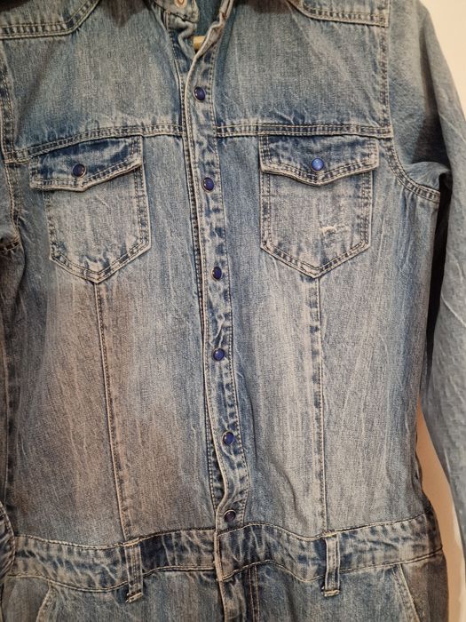 Macaco de ganga stradivarius 36