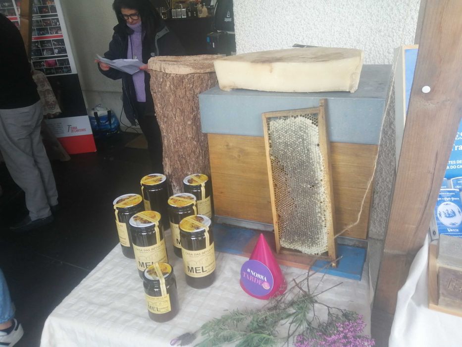 Mel multifloral (Gerês) e de eucalipto (Viana do Castelo)