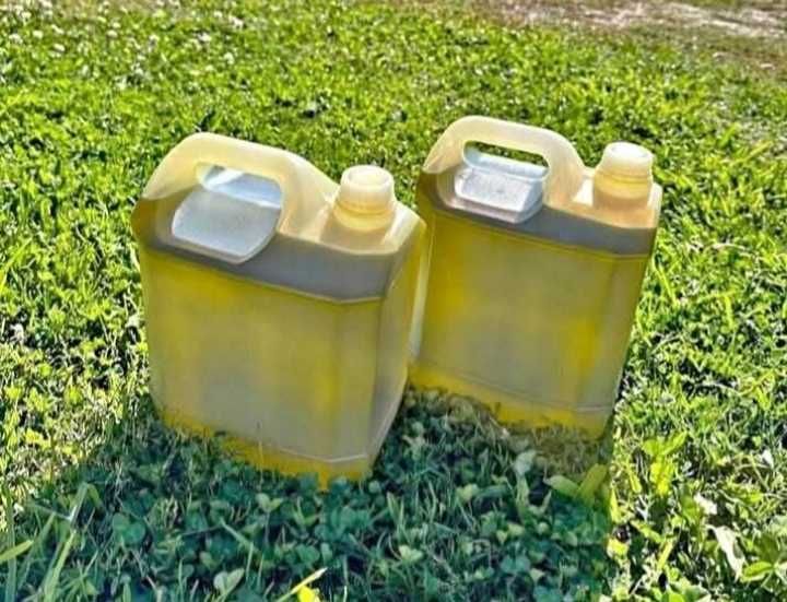 Azeite caseiro de boa qualidade garrafão de 5 litros 25€