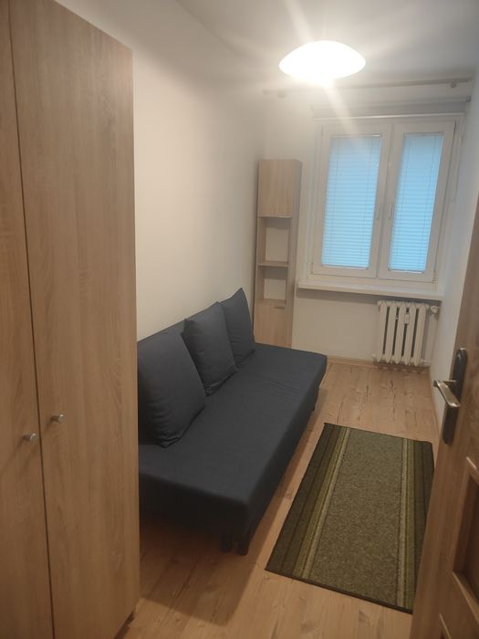 Zdjęcie 7