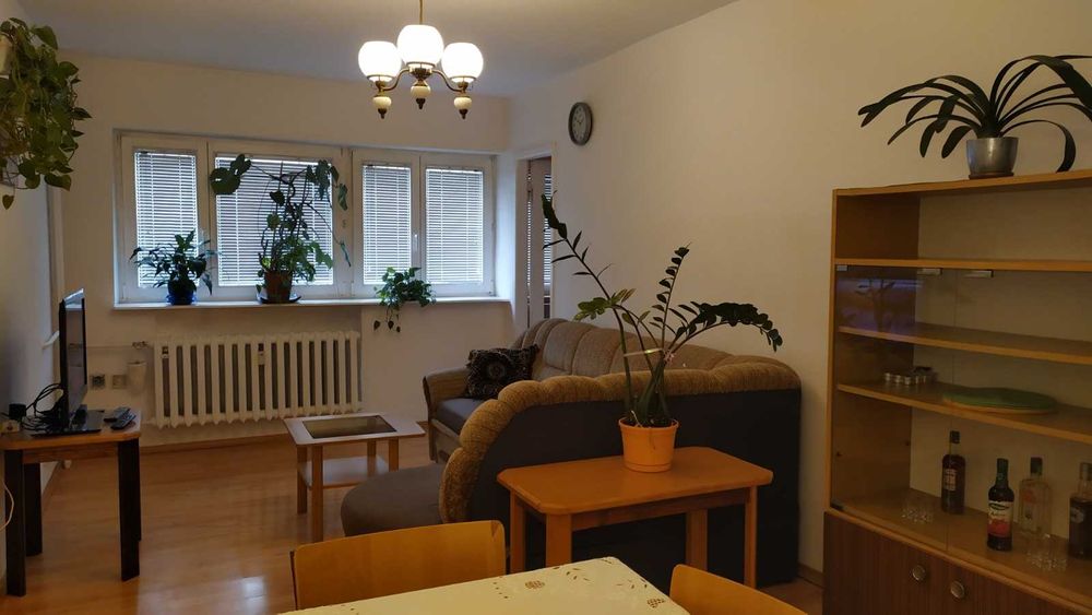 Wynajmę mieszkanie 54m2, parter, LSM Balladyny 4 pokoje