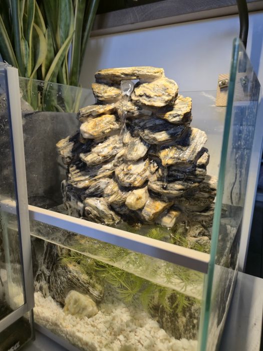Paludarium, akwarium, wodospad z łupka.