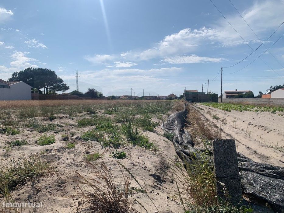 Terreno para venda próximo ao campismo da Vagueira