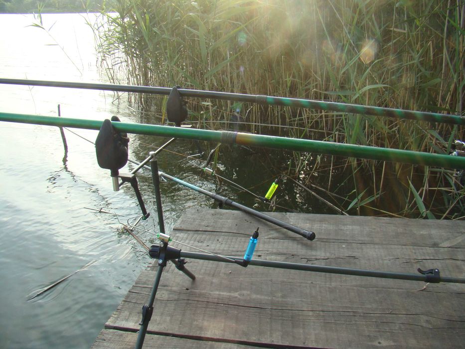 Род-поды, Сигнализаторы, Свингера. Carp Pro, HIRISI, EOS.