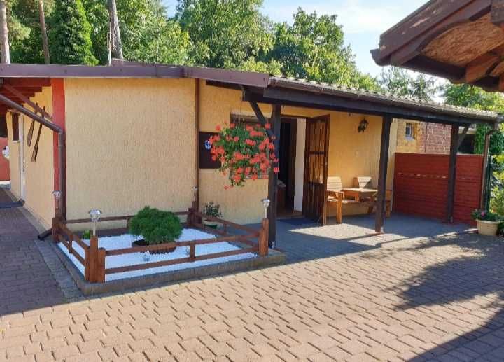 Stegna Noclegi u Reni