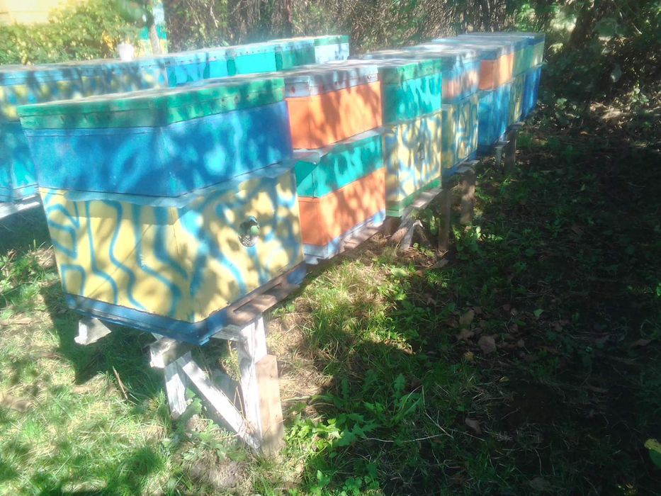 Продам улья  из ДВП и пенопласта.