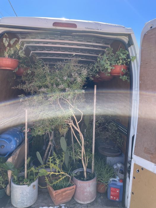 Tensportes mudanças cargas e descargas e fretes