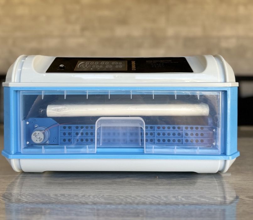 Сучасний інкубатор