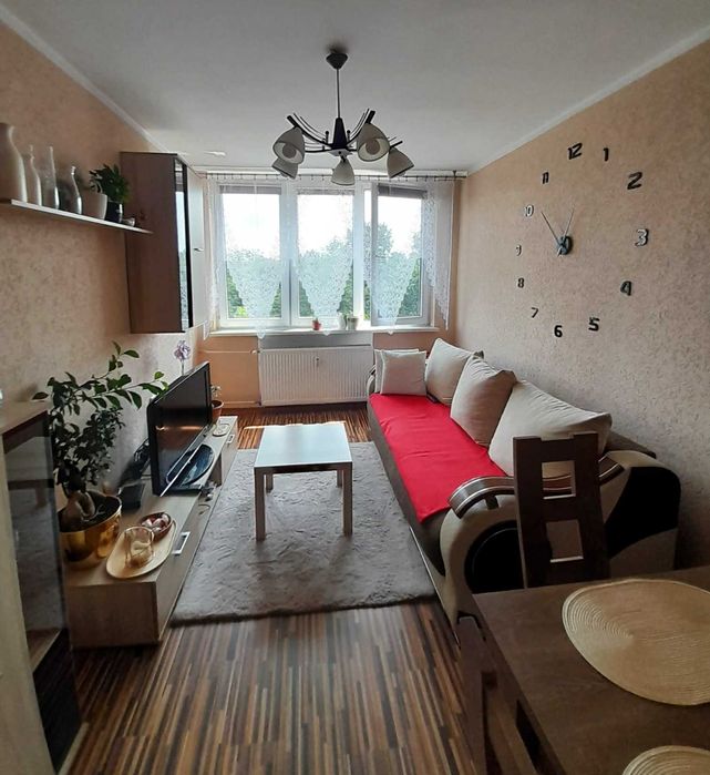Wynajmę mieszkanie 38,6 m² dwupokojowe Bytom ul. Orzegowska