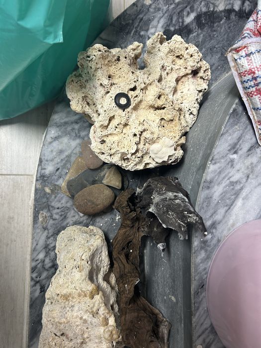 Acessorios  para aquario