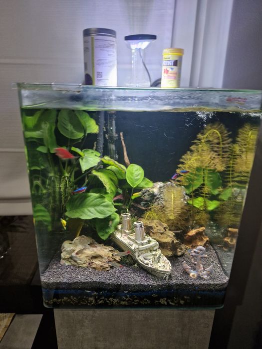 Akwarium Amtra Nanotank sytem 60