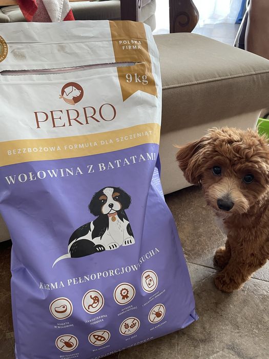 Perro wołowina z batatami