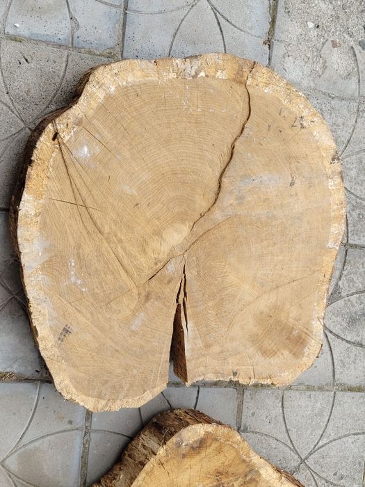 Duże plastry dębu sezonowane 6 lat – blat na stół, stolik, ławę – grubość ok. 15 cm