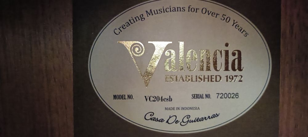 Viola Valência nova