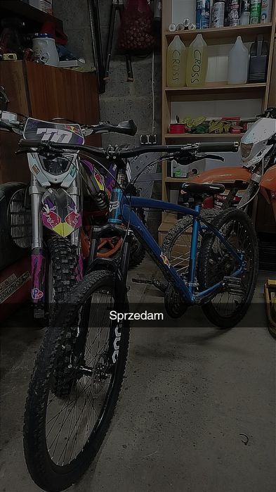 Romet (malowana rama,złożony od zera )