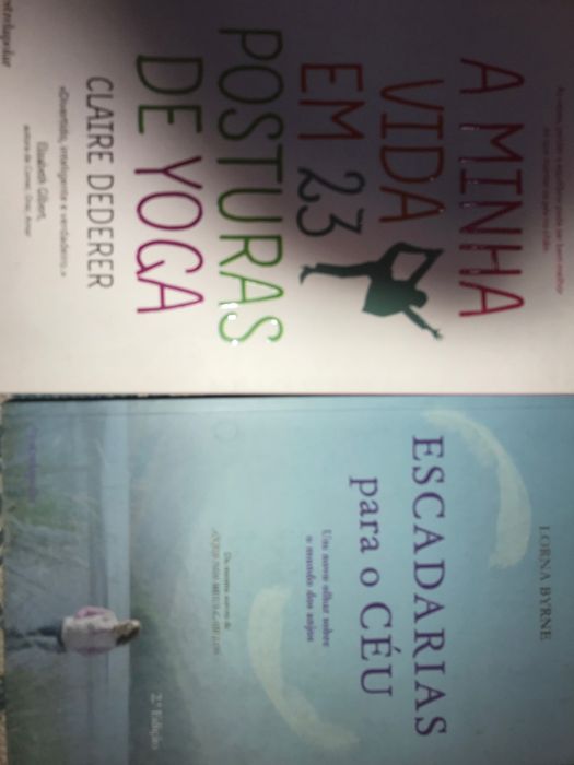 Livros espiritualidade/desenvolvimento