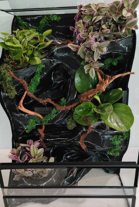 Terrarium dla gekona orzęsionego AquaWaves z wyposażeniem TW03WB