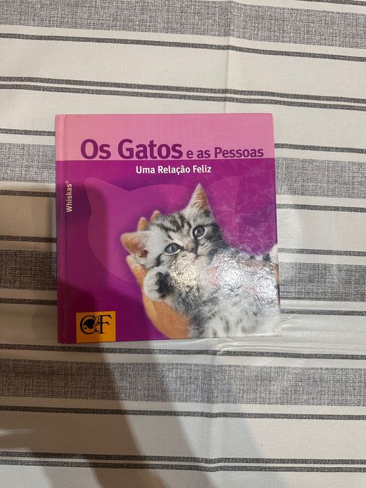 Os Gatos e as Pessoas Uma Relação Feliz