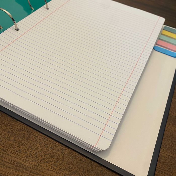 Fichário Gatos caderno