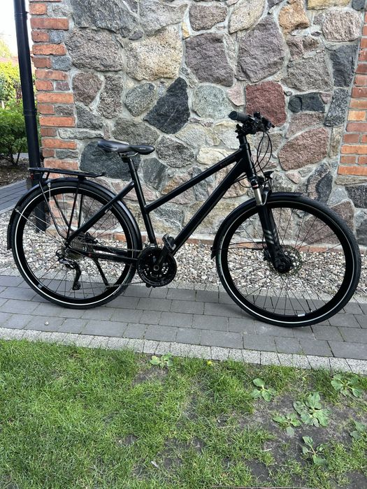 Rower Kalkhoff Endeavour XT