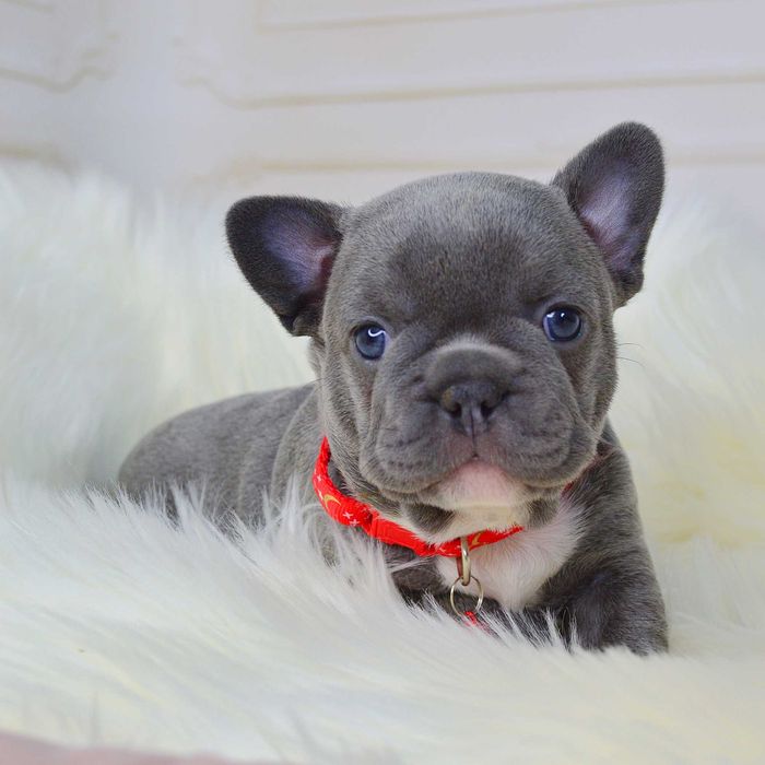 Чарівні малюки у пошуках люблячих родин!!!