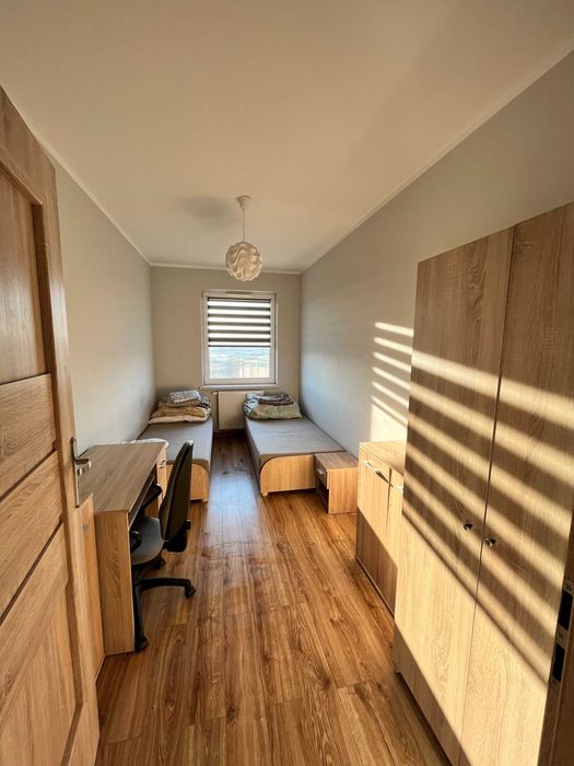 Wynajem - mieszkanie