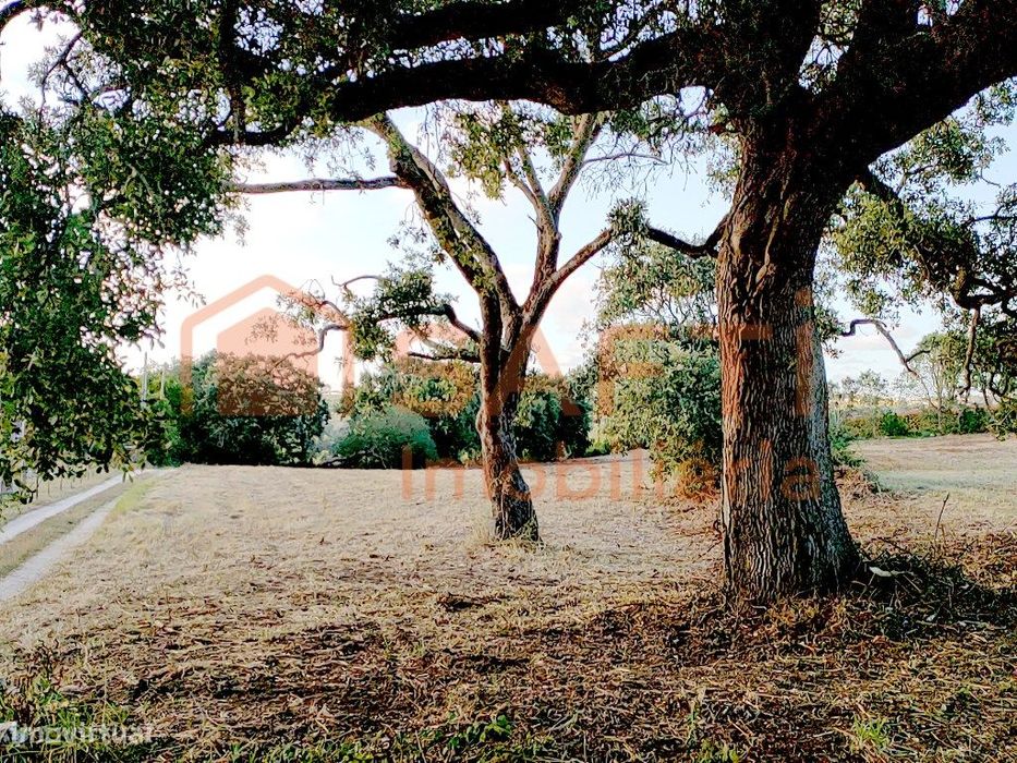 Terreno com 5000 m² com potencial para Turismo Rural (+ de 10 Quart...