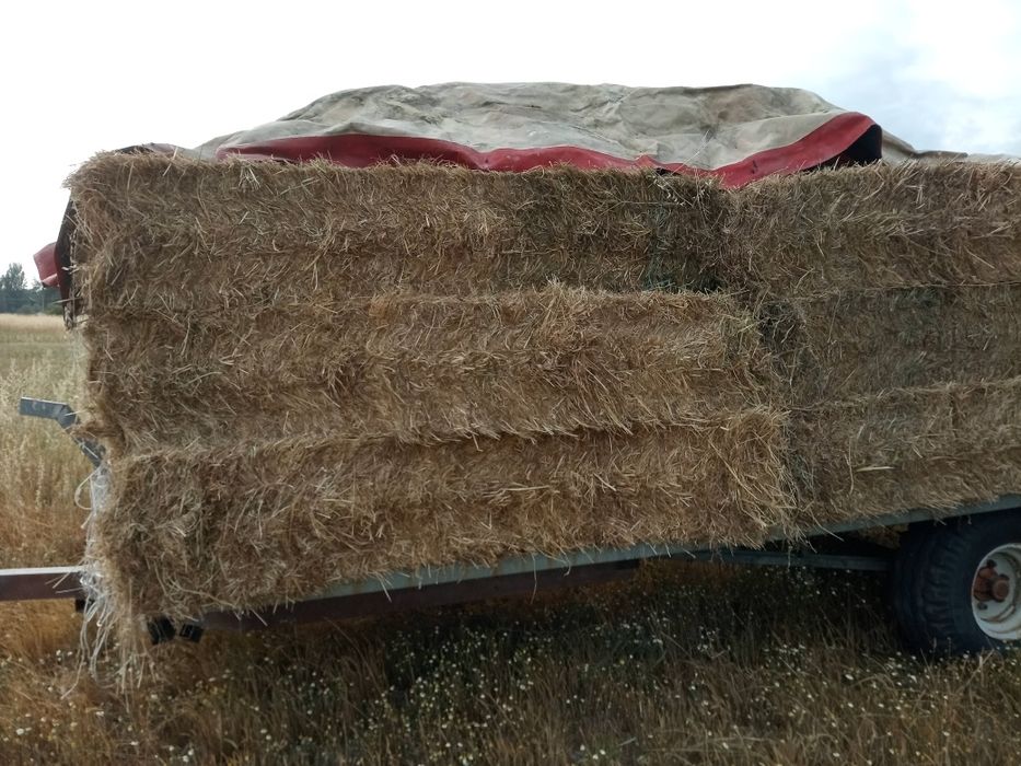 Vendo fardos feno 80x50x240cm