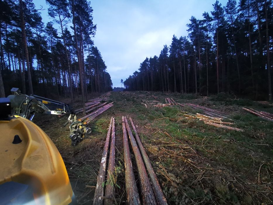 Mulczerowanie, rekultywacja gruntów,wycinka,  wycinka pod inwestycje