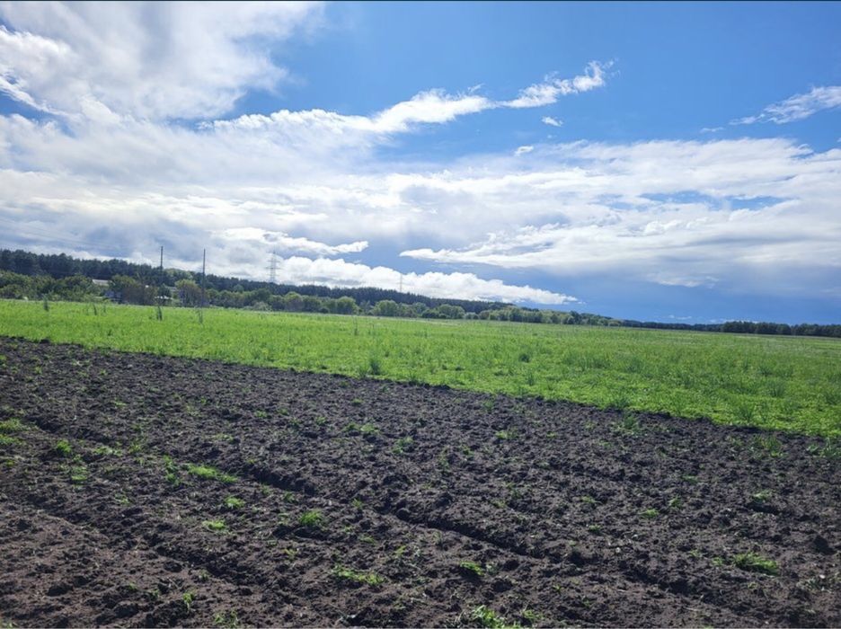 Продам Земельный пай в с. СПАССКОЕ, Днепр область, 20км от города