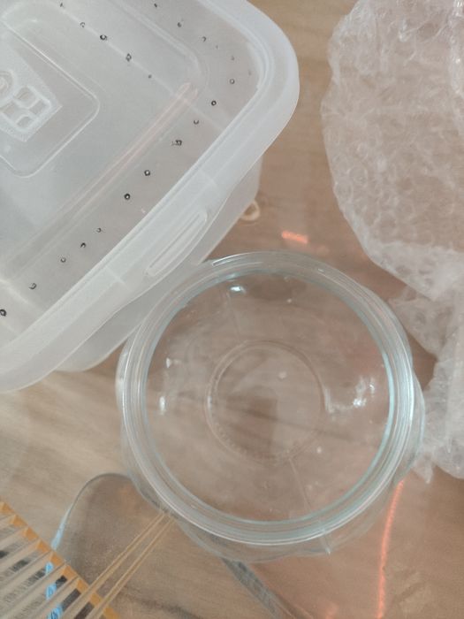 terrarium plastikowe dla węża, zbozowki