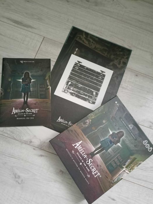 Gra Amelia's Secret