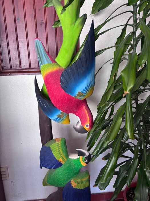Papagaios esculpidos na madeira