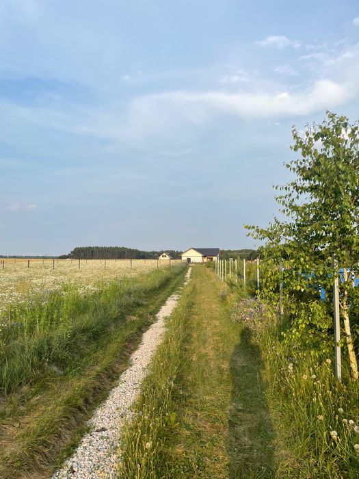 Piękna działka z warunkami zabudowy Nowy Sumin Bory Tucholskie