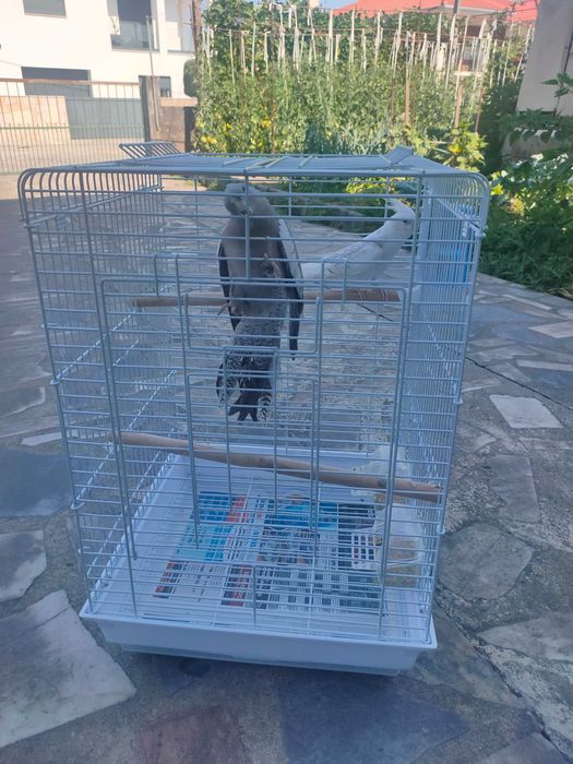 Gaiola para aves de médio porte!!!