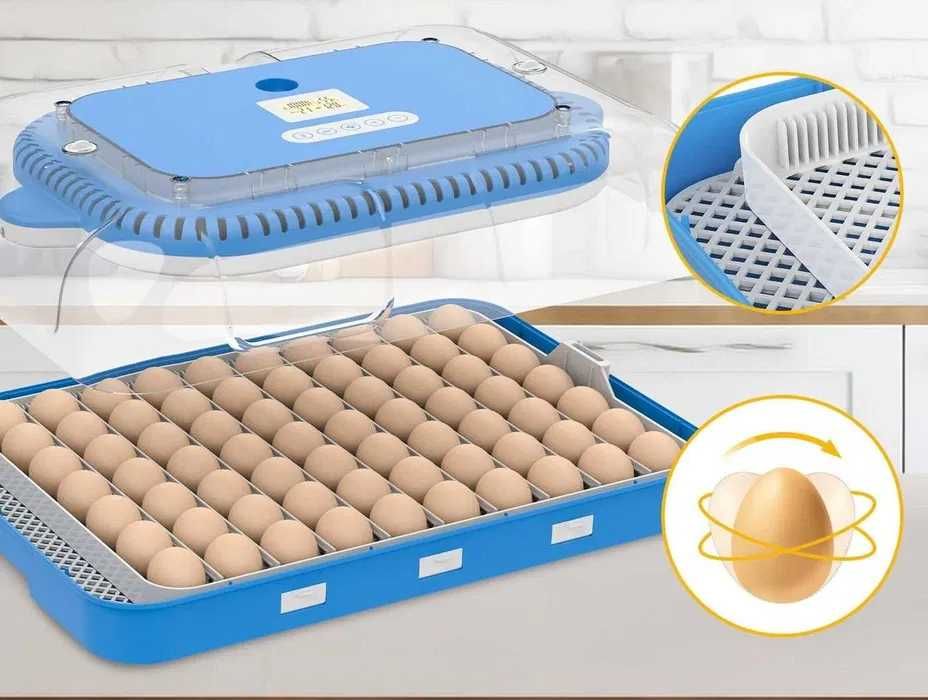 Inkubator do jaj automatyczny z pompą wilgotności OVOstart 70