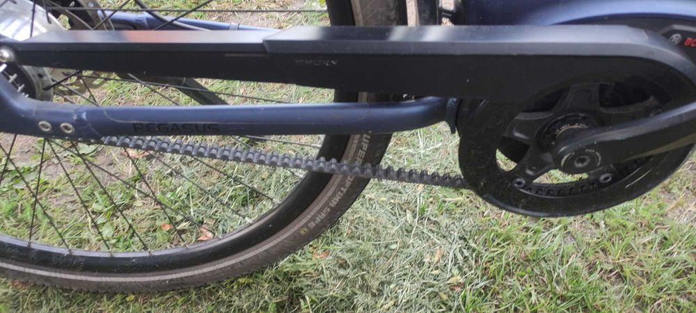 Rower elektryczny Pegasus Sienna E7 plus belt - na pasku-super osprzęt
